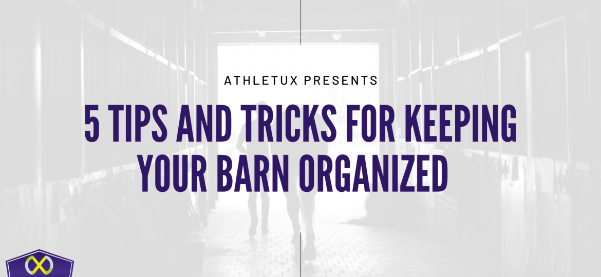 5 Tips and Tricks for Keeping Your Barn Organized