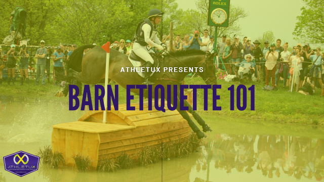 Trainers Social Media