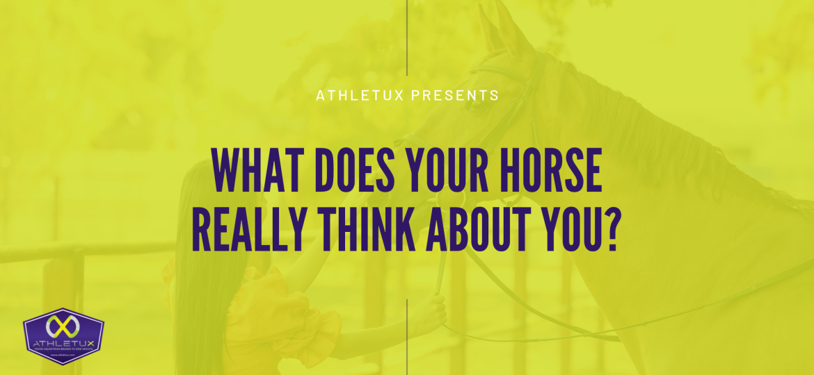 _Athletux Blog SITE HEADER
