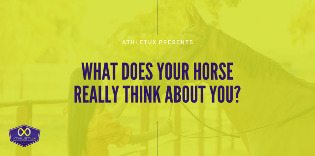 _Athletux Blog SITE HEADER